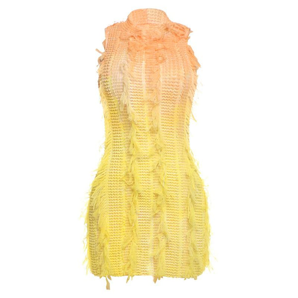 Crewneck hollow out see through gradient tassels mini dress