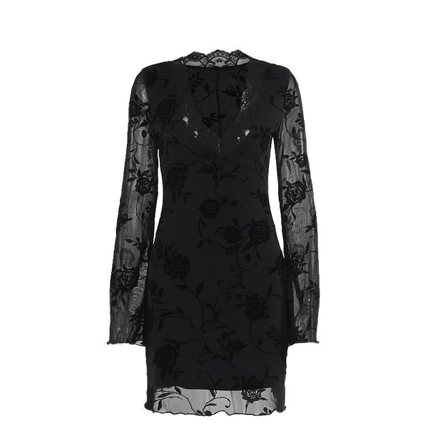 V neck long sleeve flower pattern mesh mini dress