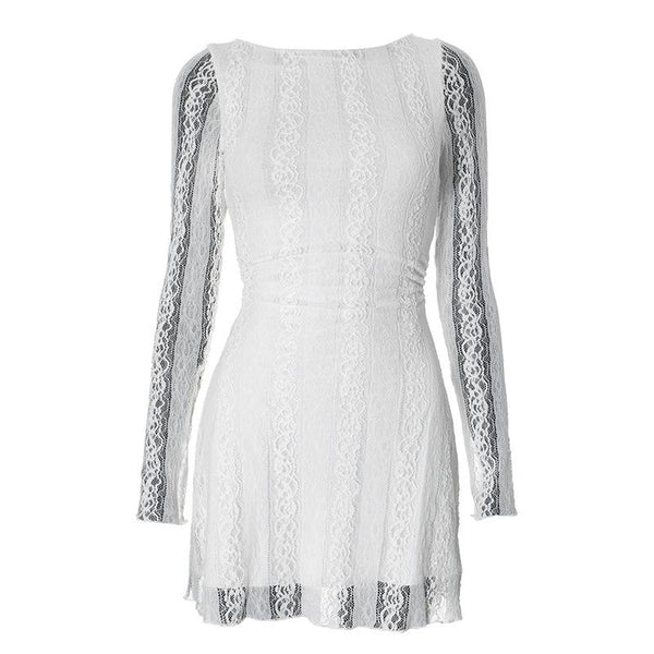 Crewneck long sleeve lace mini dress